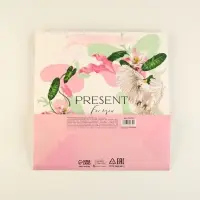 Пакет подарочный ламинированный квадратный, упаковка, &laquo;Present for you&raquo;, 30&times;30&times;12 см