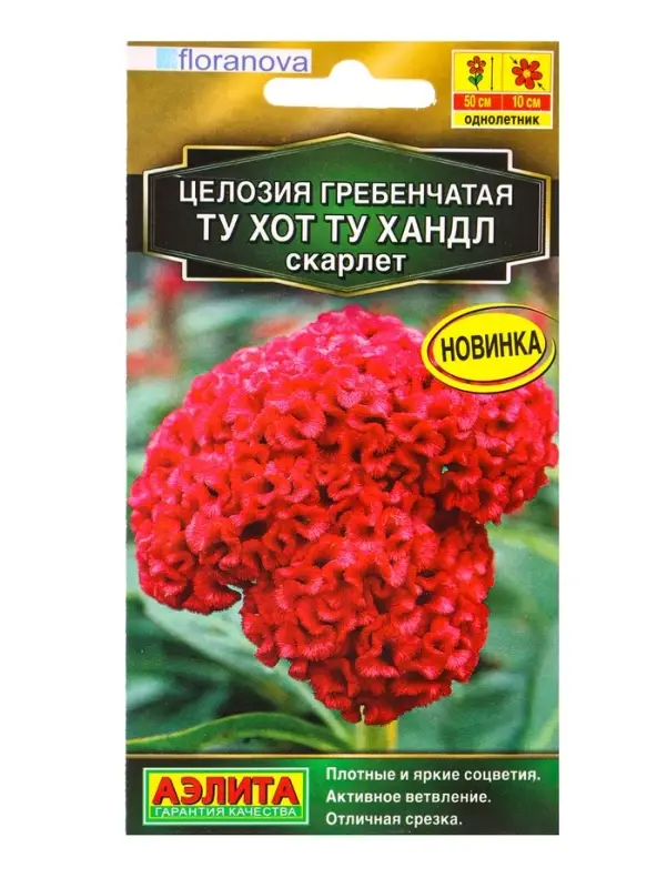 Семена цветов Целозия гребенчатая Ту хот ту хандл скарлет С. Floranova , Ц/П,5 шт. Семена цветов Целозия гребенчатая Ту хот ту хандл скарлет С. Floranova , Ц/П,5 шт.