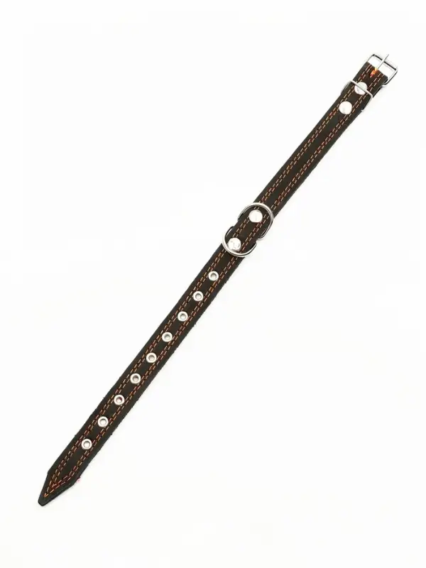 Ошейник кожаный усиленный капроном с полукольцом, 55&times;2.5 см, ОШ 27-53 см, чёрный