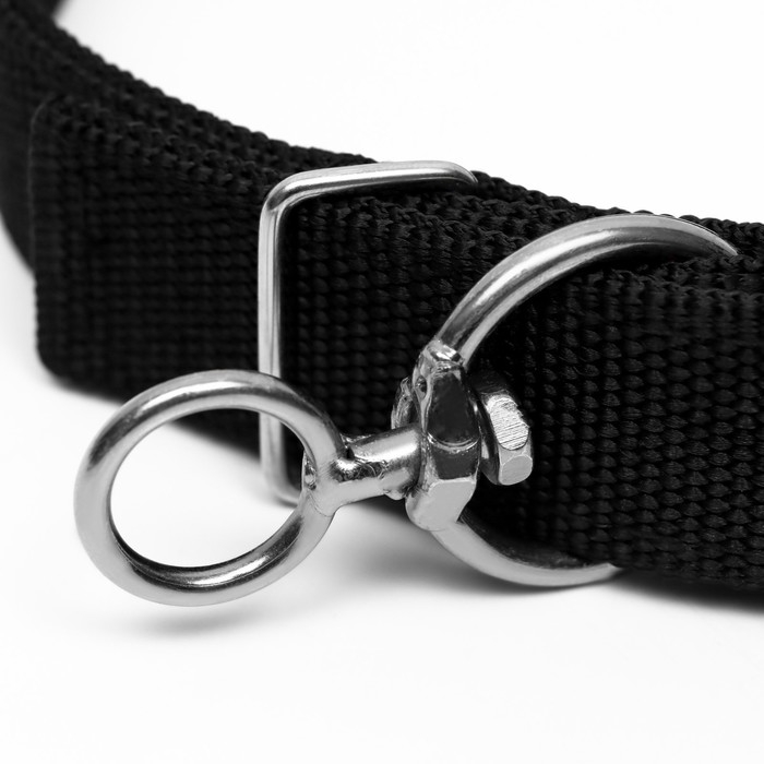 Ошейник двухслойный с вертлюгом, 55 х 2,5 см, полиэстер, черный Ошейник двухслойный с вертлюгом, 55 х 2,5 см, полиэстер, черный
