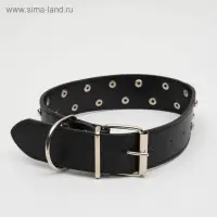 Ошейник клепаный в 2 ряда, 63,5 х 3,8 см, черный