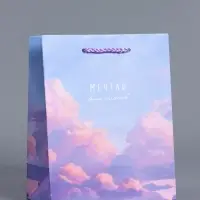 Пакет подарочный "Мечтай выше облаков" ламинированный 18 х 22,3 х 10 см