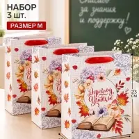 Пакеты подарочные &laquo;Самому любимому учителю&raquo;, набор 3 шт., 18&times;23&times;10 см