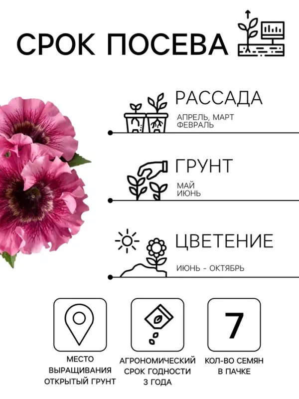Семена цветов Петуния &laquo;Превосходнейшая Розеа&raquo; F1, 7 шт.