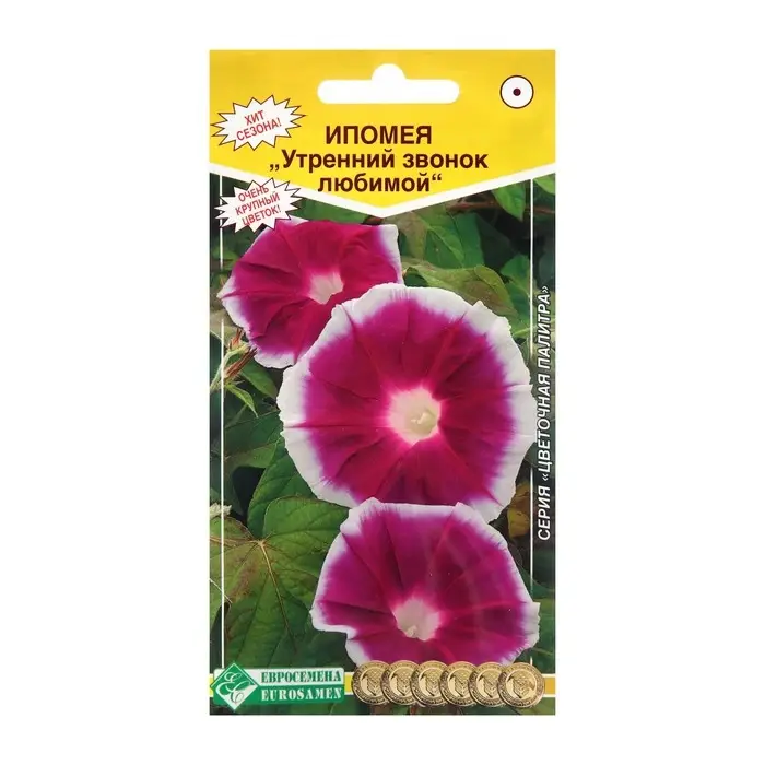 Семена цветов Ипомея Семена цветов Ипомея "Утренний звонок любимой", 5шт