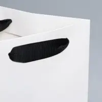Пакет подарочный под бутылку, упаковка, &laquo;Present&raquo;, 13&times;32&times;11 см