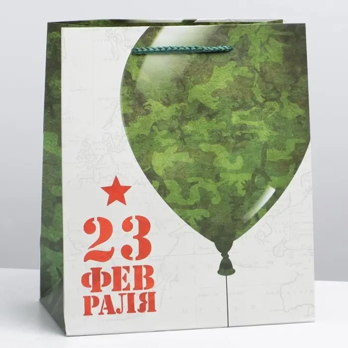 Пакет подарочный ламинированный, упаковка, &laquo;С 23 февраля&raquo;, ML 23&times;27&times;11.5 см