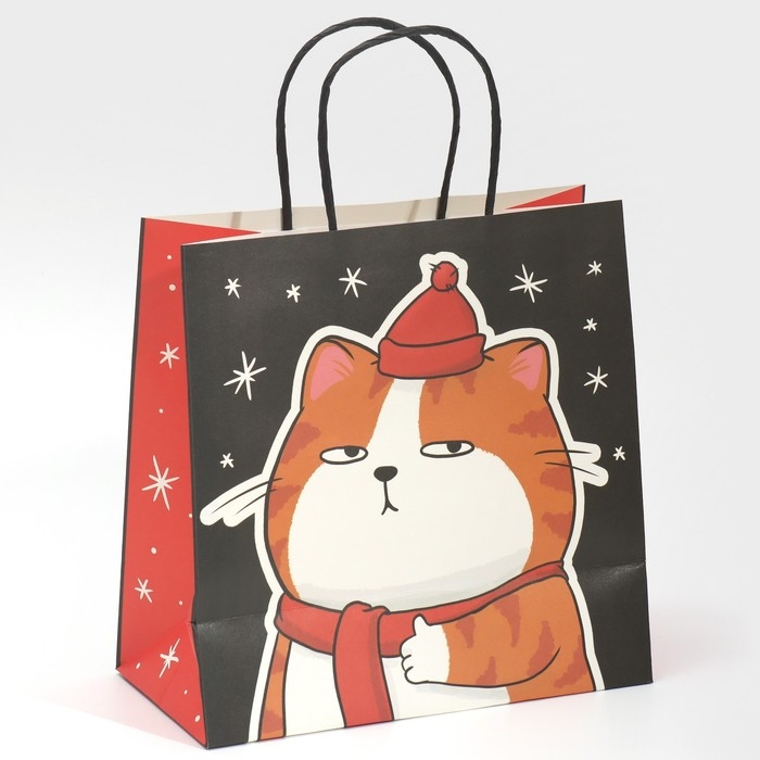 Пакет подарочный новогодний «Счастье», 22 х 22 х 11 см Пакет подарочный новогодний «Счастье», 22 х 22 х 11 см