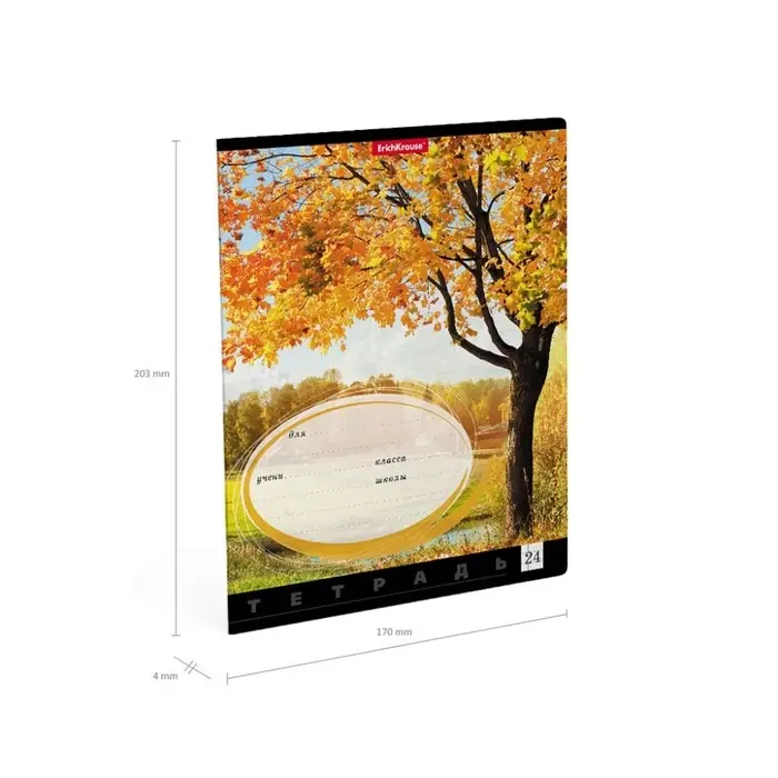 Тетрадь 24 листа в клетку, ErichKrause &laquo;Родные просторы&raquo;, обложка мелованный картон, МИКС