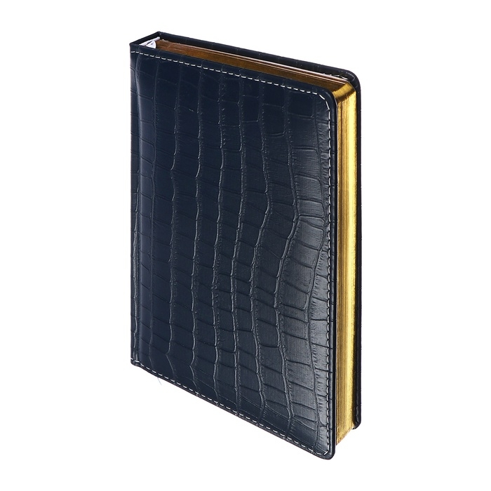 Ежедневник датированный 2025 года, deVENTE. Flag, B5 168 листов, deVENTE.Barbara, твердая обложка кожзам с поролоном, перфорация, ляссе, блок 70 г/м2, темно-синий Ежедневник датированный 2025 года, deVENTE. Flag, B5 168 листов, deVENTE.Barbara, твердая обложка кожзам с поролоном, перфорация, ляссе, блок 70 г/м2, темно-синий