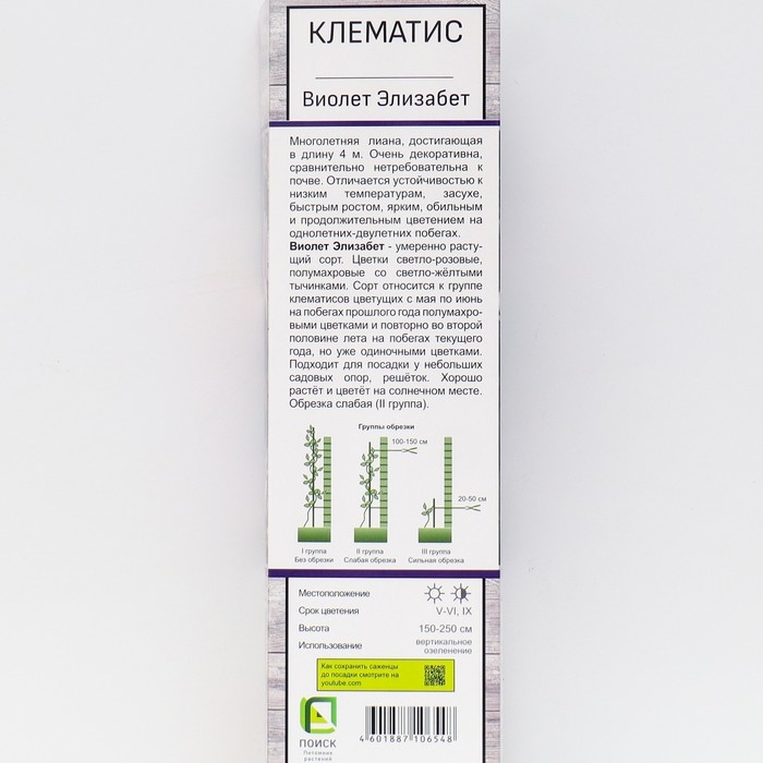 Клематис крупноцветковый Клематис крупноцветковый "Виолет Элизабет ", 1 шт, туба, Весна 2025