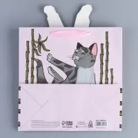 Пакет подарочный &laquo;Йога&raquo;, объёмная деталь, 22&times;22&times;10 см