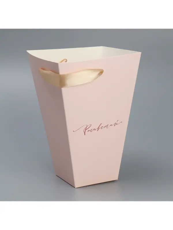 Переноска для цветов на лентах &laquo;Расцветай&raquo;, 17&times;25&times;9 см