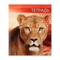 Тетрадь 48 листов в клетку, Calligrata «Дикие кошки», обложка мелованная бумага, МИКС Тетрадь 48 листов в клетку, Calligrata «Дикие кошки», обложка мелованная бумага, МИКС