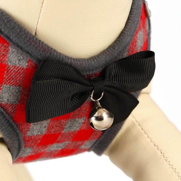 Комплект амуниции с мягкой шлейкой, L, поводок 120 х 1,5 см, ОШ 30-50 см, ОГ 36-56 см, красный   473 Комплект амуниции с мягкой шлейкой, L, поводок 120 х 1,5 см, ОШ 30-50 см, ОГ 36-56 см, красный   473