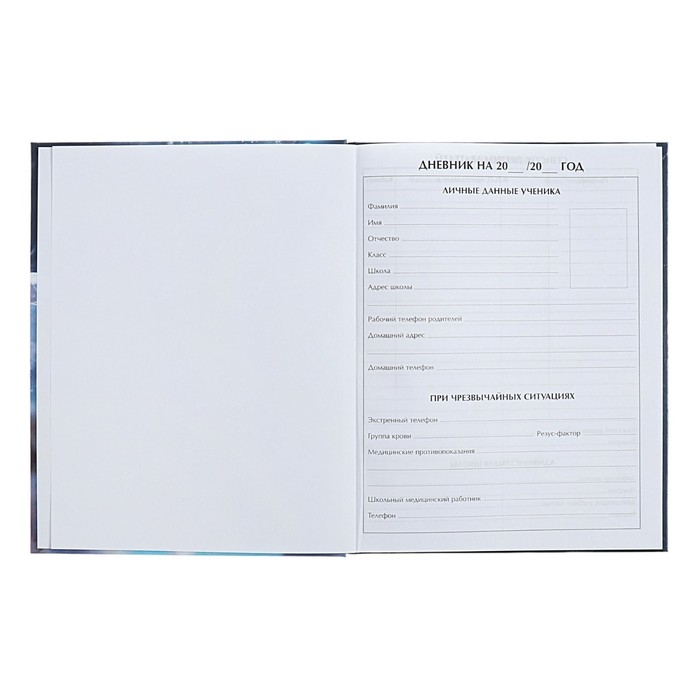 Дневник для 1-4 классов Дневник для 1-4 классов "Пушистые друзья. Волчонок", твёрдая обложка, глянцевая ламинация, 48 листов