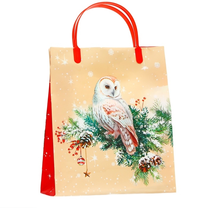 Пакет подарочный мягкий пластик Пакет подарочный мягкий пластик "Подарок" 140 мкм Сумка 26 х 22,5 х 8,5 см