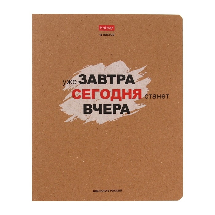 Тетрадь 48 листов в линейку  Тетрадь 48 листов в линейку "Истинные истины", обложка мелованный картон, скруглённые углы, блок офсет 65г/м2, МИКС