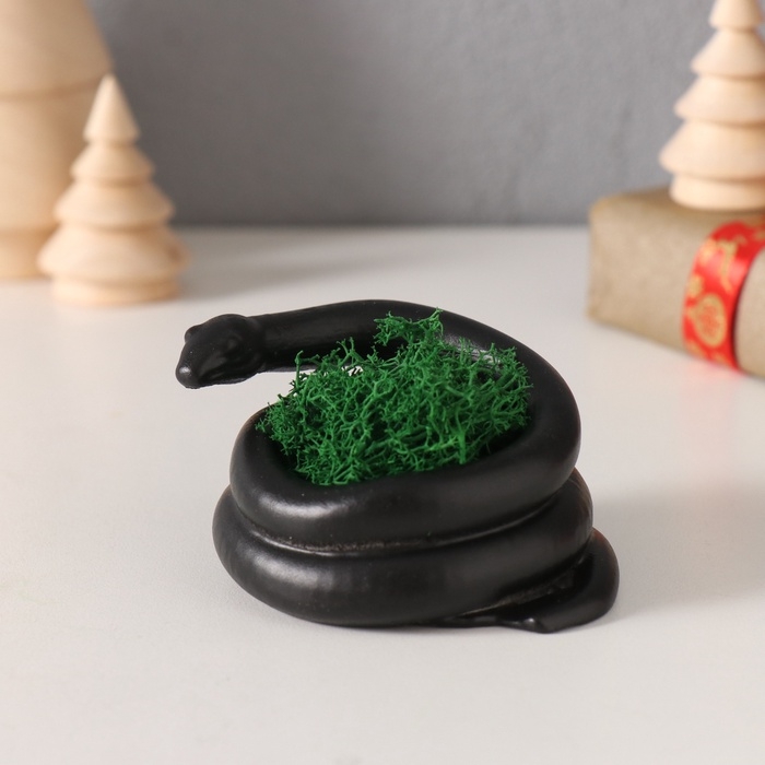 Сувенир мини  Сувенир мини "Змея" крученая со мхом  4*7*4 см черная (мох зелен стабил)