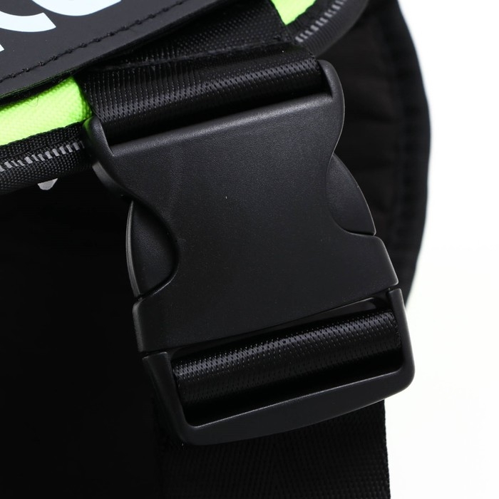 Шлейка К9 мягкая светоотражающая, размер L, ОГ 68-80 см, вес 17,5-32,5 см, зелёная Шлейка К9 мягкая светоотражающая, размер L, ОГ 68-80 см, вес 17,5-32,5 см, зелёная