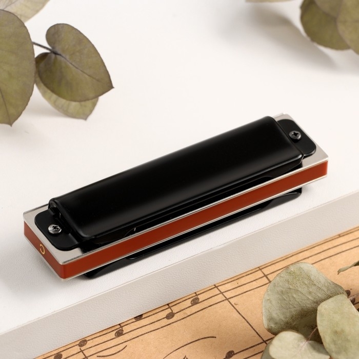 Губная гармошка Music Life T008L  C диатоническая, 10 отверстий, с футляром Губная гармошка Music Life T008L  C диатоническая, 10 отверстий, с футляром