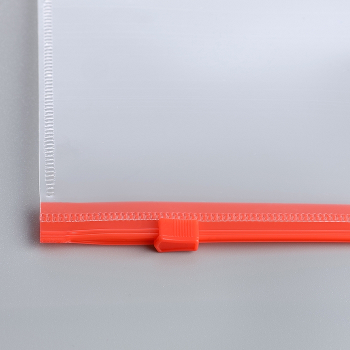 Набор папок-конвертов на ZIP-молнии A5, 150 мкм, Calligrata, прозрачные, 10 штук, МИКС Набор папок-конвертов на ZIP-молнии A5, 150 мкм, Calligrata, прозрачные, 10 штук, МИКС