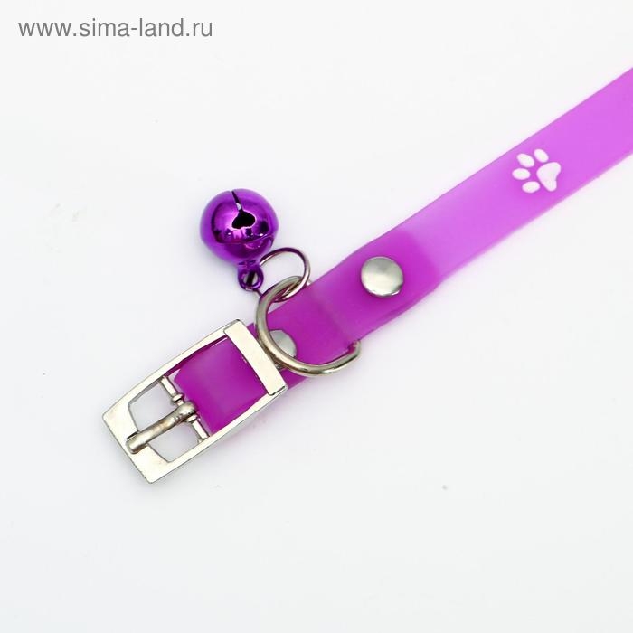 Ошейник из морозостойкого мягкого пластика Ошейник из морозостойкого мягкого пластика "Лапки", 28, 5 х 1 см, микс цветов