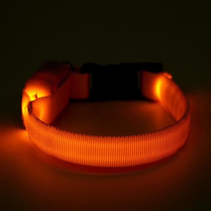 Ошейник светящийся узкий для небольших собак, 26 х 1,5 см, жёлтый Ошейник светящийся узкий для небольших собак, 26 х 1,5 см, жёлтый