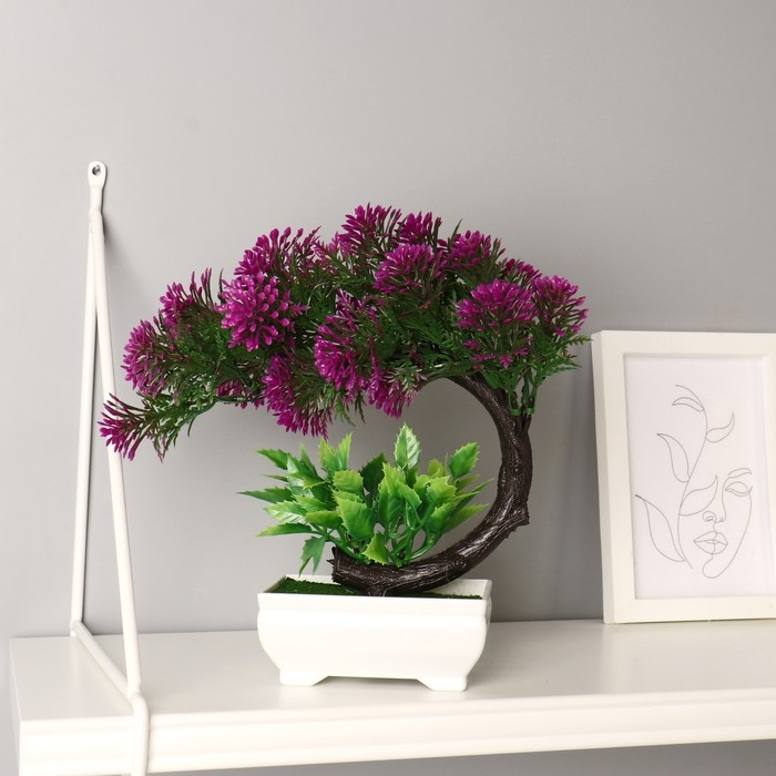 Бонсай в горшке Бонсай в горшке "Селагинелла африканская" 10х20 см, микс