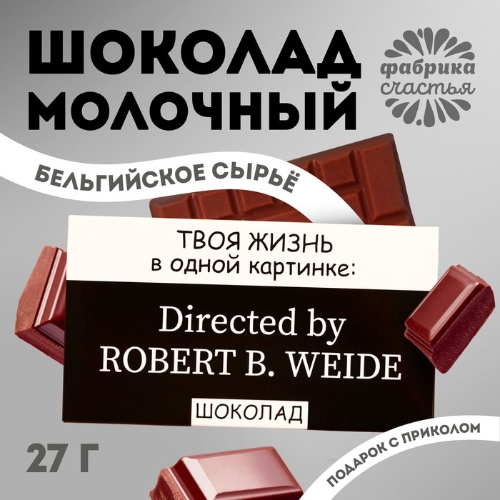 Шоколад молочный &laquo;Жизнь в одной картинке&raquo;, 27 г.