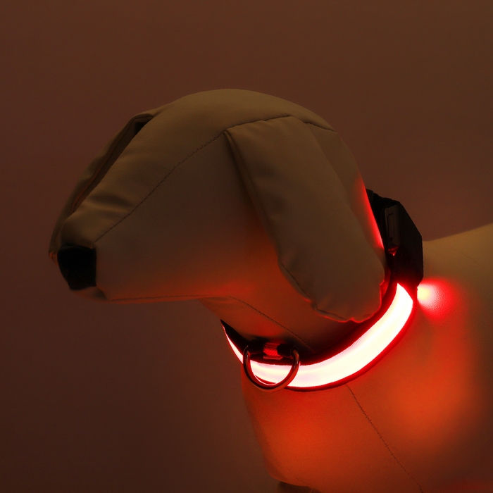 Ошейник с подсветкой Flash 3 режима свечения, размер S, ОШ 35-43 х 2,5 см красный Ошейник с подсветкой Flash 3 режима свечения, размер S, ОШ 35-43 х 2,5 см красный