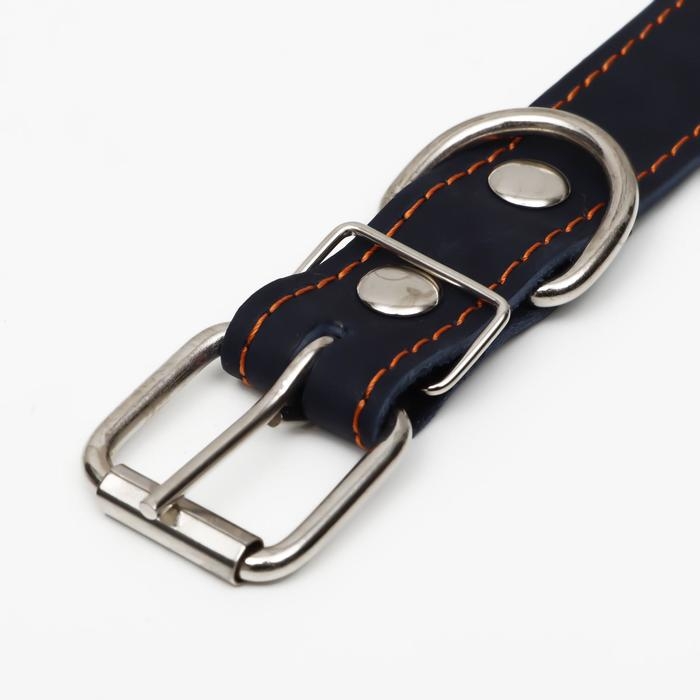 Ошейник кожаный на синтепоне, безразмерный, 65 х 3 см, ОШ 22-55 см, синий Ошейник кожаный на синтепоне, безразмерный, 65 х 3 см, ОШ 22-55 см, синий