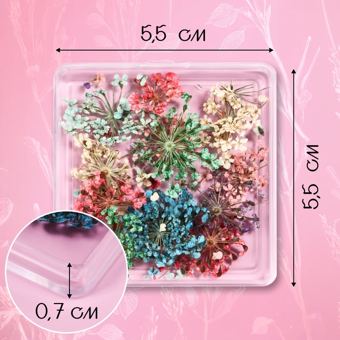 Сухоцветы для декора ногтей, в футляре, вид МИКС