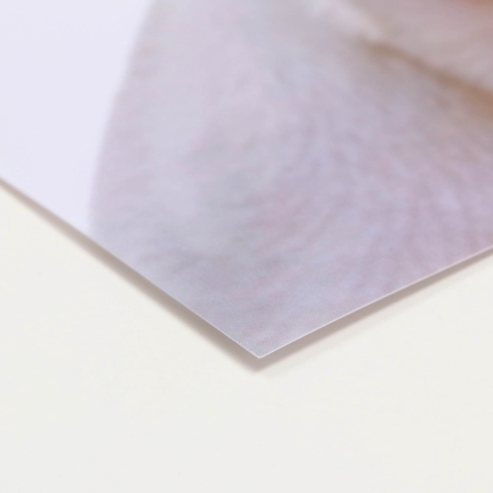 Коврик под миску  Коврик под миску "Пижон" 43 х 28 см "Ого! Это всё нам?"