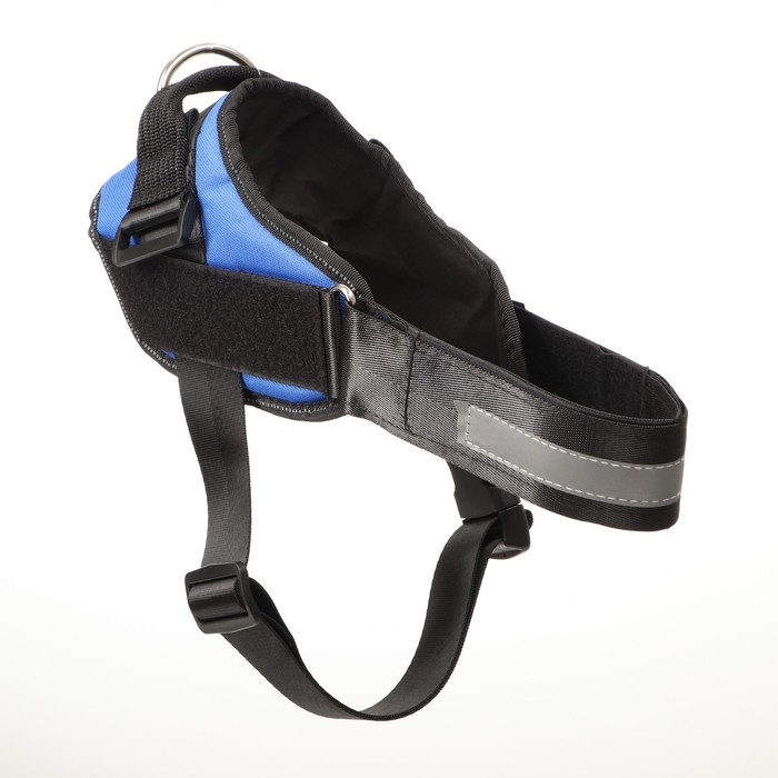 Шлейка К9 мягкая светоотражающая, размер L, ОГ 68-80 см, вес 17,5-32,5 см, синяя Шлейка К9 мягкая светоотражающая, размер L, ОГ 68-80 см, вес 17,5-32,5 см, синяя