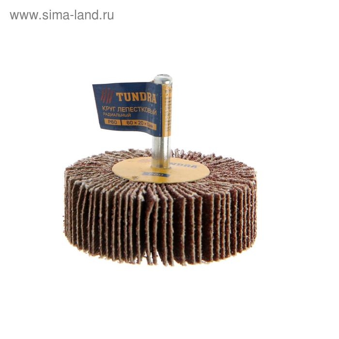 Круг лепестковый радиальный ТУНДРА, 60 х 20 х 6 мм, Р60 Круг лепестковый радиальный ТУНДРА, 60 х 20 х 6 мм, Р60