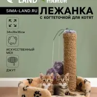 Лежанка с когтеточкой для котят, 34&times;26&times;34 см, джут, цвет МИКС