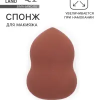 Спонж для макияжа &laquo;Амфора&raquo;, 6&times;4 см, увеличивается при намокании, МИКС