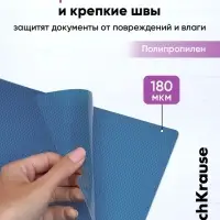 Папка-уголок А4, 180 мкм, ErichKrause Glossy Vivid, полупрозрачная, микс