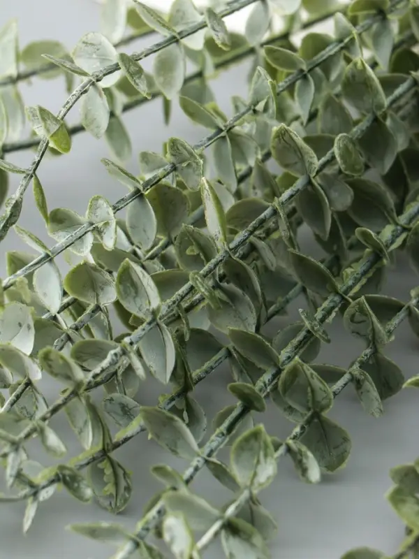 Цветы искусственные «Эвкалипт цинерия», h=53 см, зелёные Цветы искусственные «Эвкалипт цинерия», h=53 см, зелёные