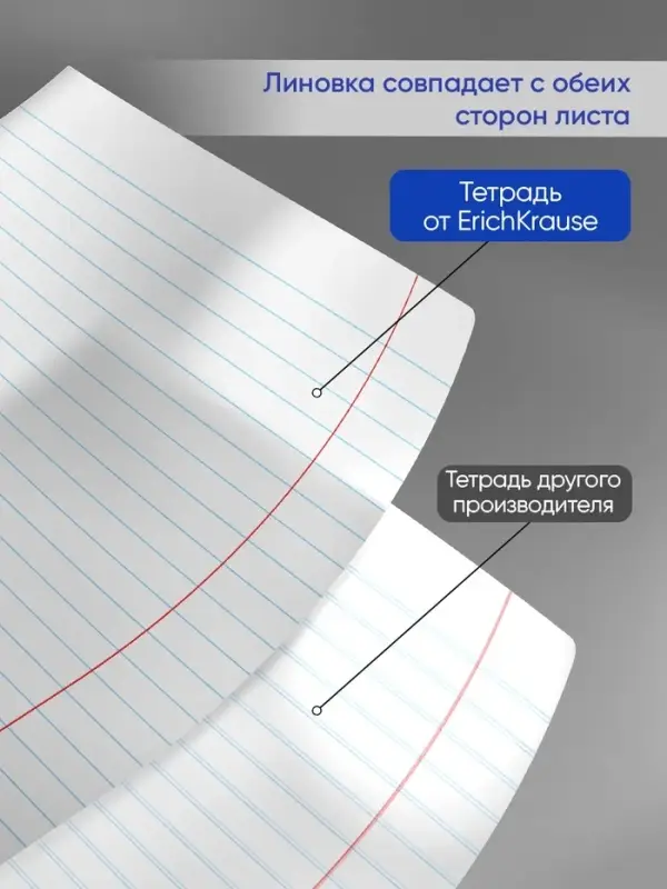 Тетрадь 24 листа в линейку, ErichKrause &laquo;Классика&raquo;, обложка мелованный картон, МИКС