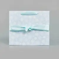 Пакет подарочный с лентой &laquo;Снежинки&raquo;, ML 27&times;23&times;11.5 см