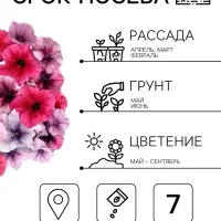 Семена цветов Петуния &laquo;Фристайл&raquo; берри морнинг, F1, 7 шт., &laquo;АЭЛИТА&raquo;