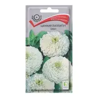 Семена цветов Цинния "Лиллипут", Белая, 0,4гр. Семена цветов Цинния "Лиллипут", Белая, 0,4гр.