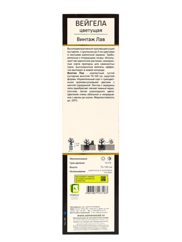 Вейгела цветущая Люкс «Винтаж Лав», саженец, туба, 1 шт. Вейгела цветущая Люкс «Винтаж Лав», саженец, туба, 1 шт.