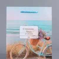 Пакет подарочный "Путь к мечте" ламинированный 18 х 22,3 х 10 см