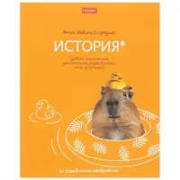 Тетрадь 48л кл "Мой любимый предмет" ИСТОРИЯ, мел карт, S-touch, интер справ, офсет