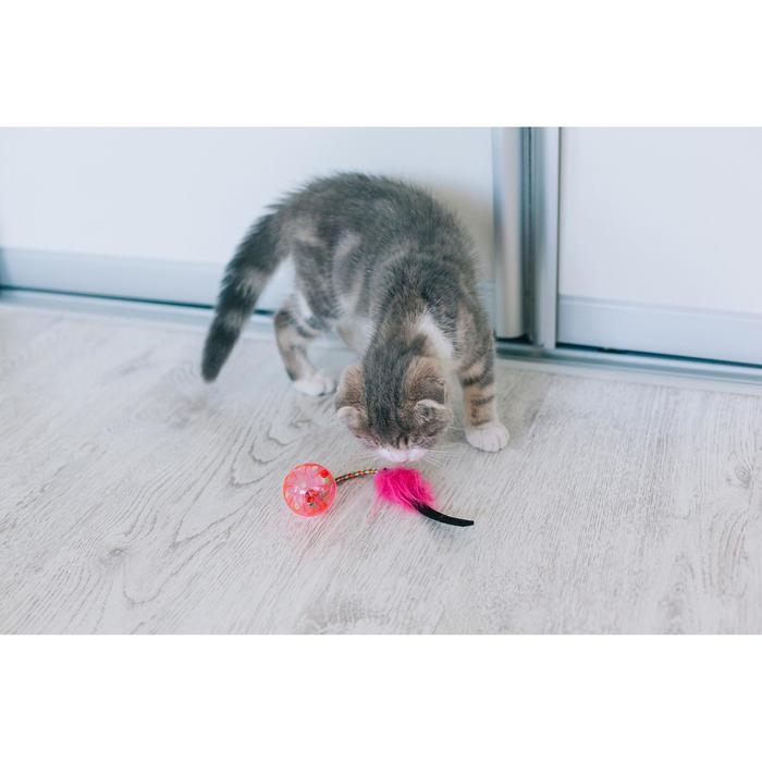 Шар-погремушка с хвостиком, микс цветов Шар-погремушка с хвостиком, микс цветов