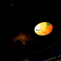 Интерактивная картонная книга &laquo;Поиграем в прятки?&raquo;, 20 стр.