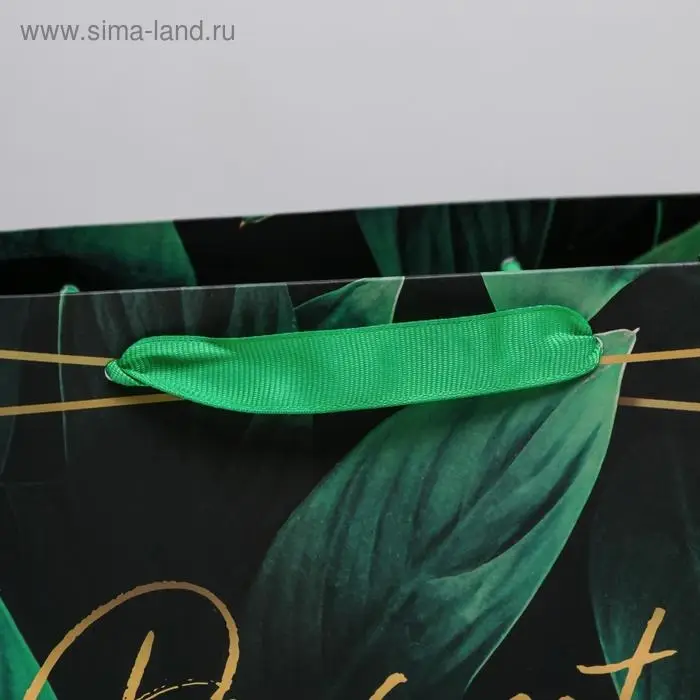 Пакет подарочный ламинированный, упаковка, Present for you, S 15 х 12 х 5.5 см Пакет подарочный ламинированный, упаковка, Present for you, S 15 х 12 х 5.5 см